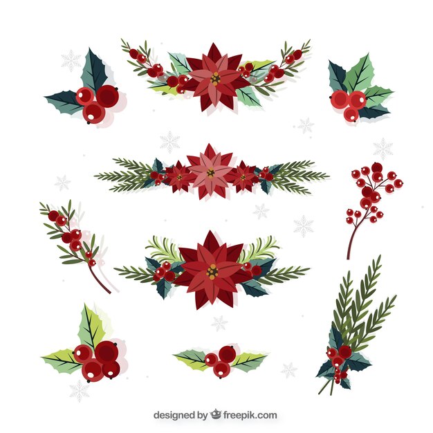 Winter hand drawn collection of red flowers and berries