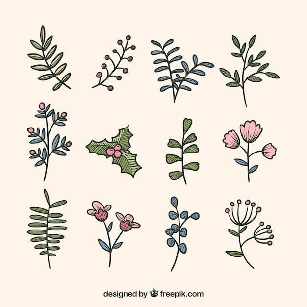 Winter leaves and flowers on a beige background