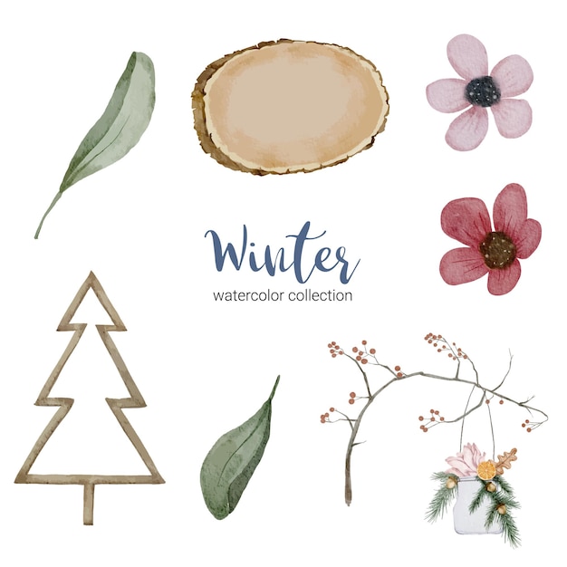 Free vector winter watercolor collection with branches, leaves and flowers