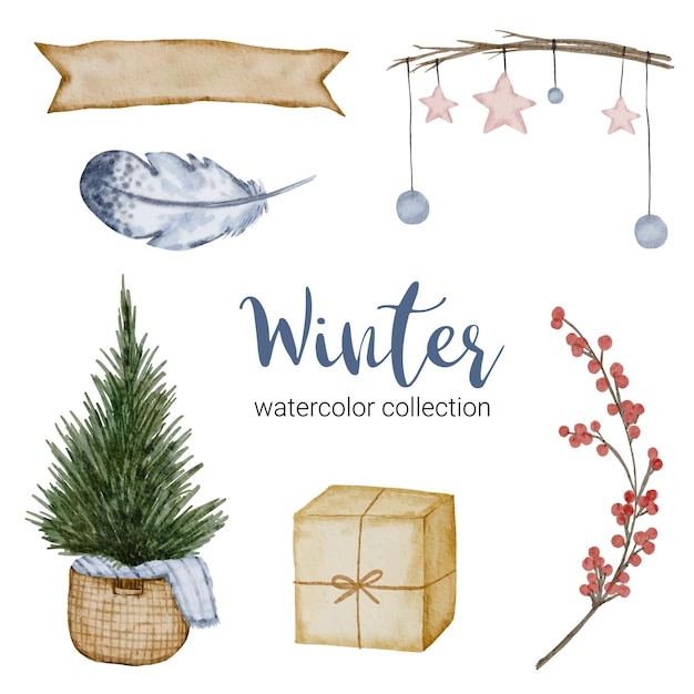 Free vector winter watercolor collection with branches, leaves and flowers