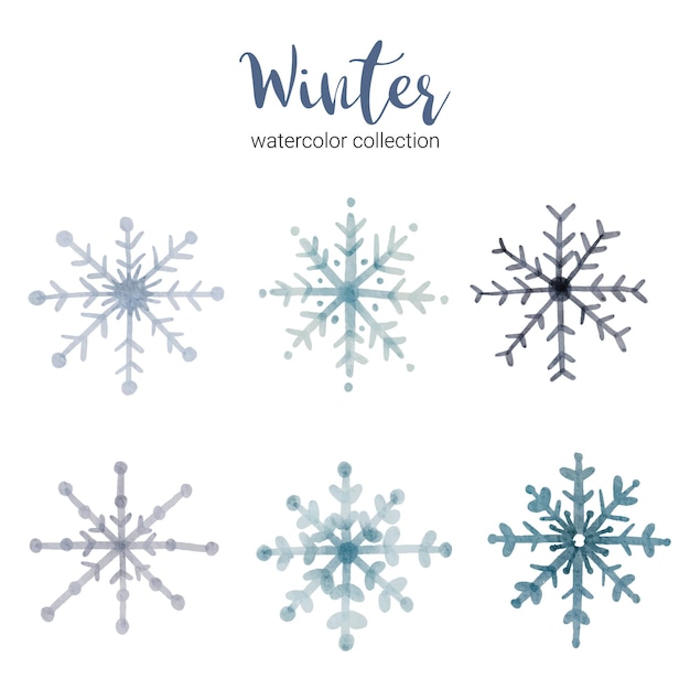 Winter watercolor collection with branches that symbolize cool, winter watercolor.