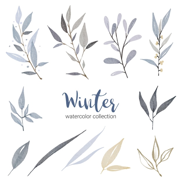 Winter watercolor collection with various types of leaves