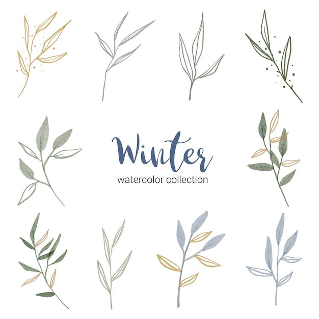 Free Vector | Winter watercolor collection with various types of leaves