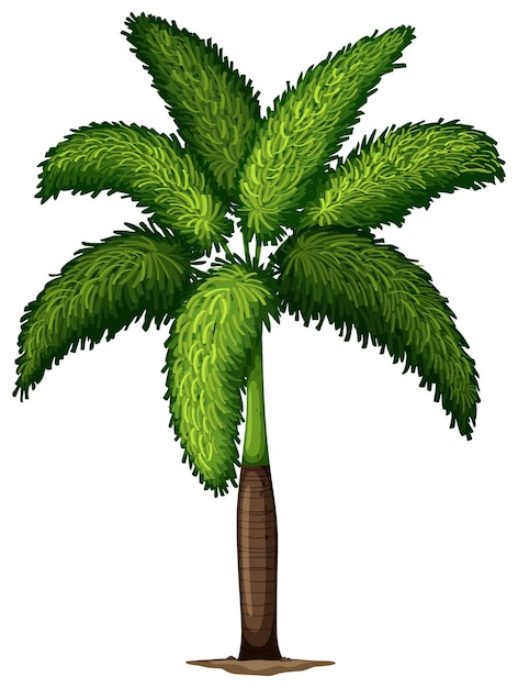 Wodyetia Bifurcata 식물