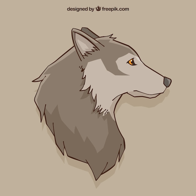 Free vector wolf drawing background