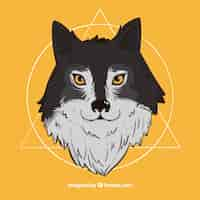 Free vector wolf portrait illustration