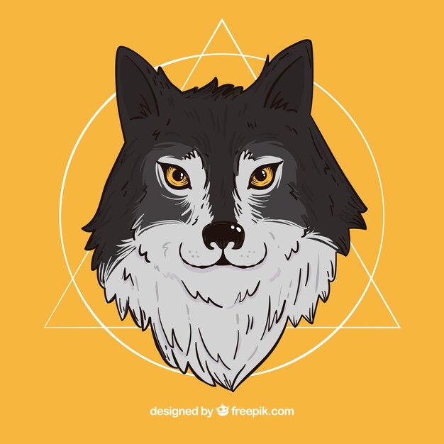 Wolf portrait illustration
