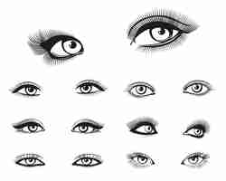 Free vector woman eyes set