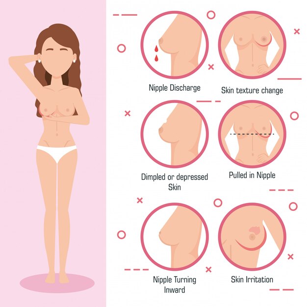 Different Shapes Of Breast, Women Breast, Vector Illustration Royalty Free  SVG, Cliparts, Vectors, and Stock Illustration. Image 134722748.