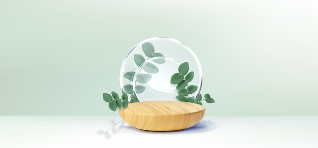 Free vector wooden platform with eucalyptus branch