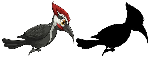 Free vector woodpecker characters and its silhouette on white background
