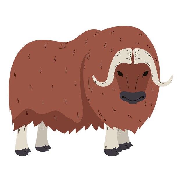 woolly ox design