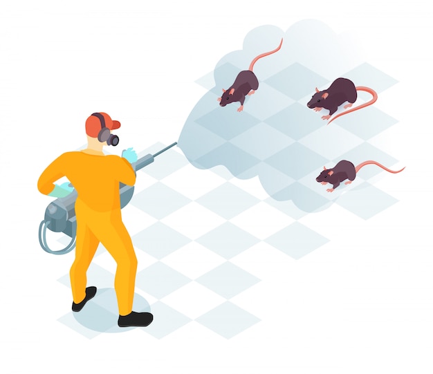 Free vector worker of pest control service with professional equipment during domestic disinfection from rodents isometric vector illustration