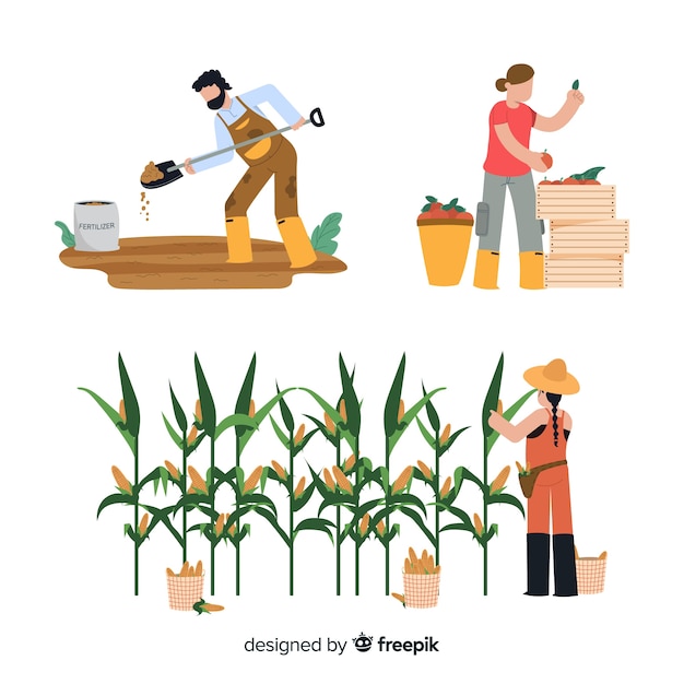 Workers at farm activity illustration