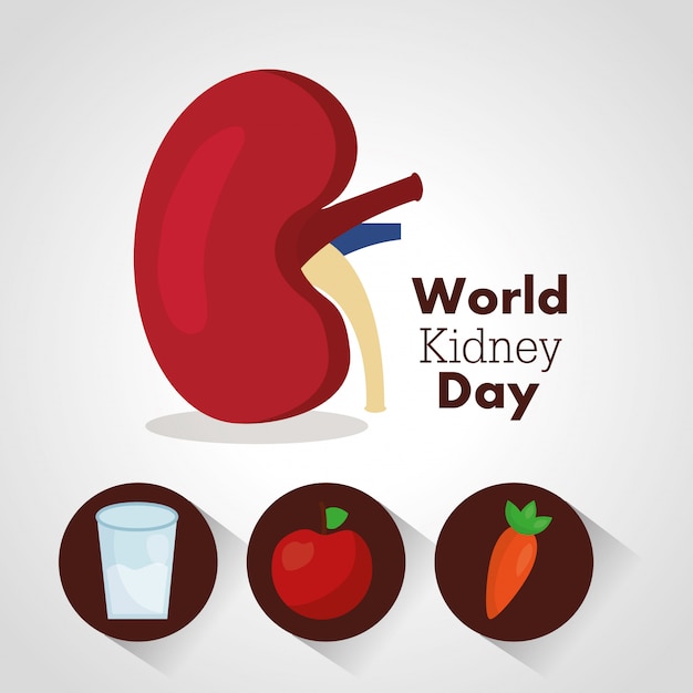 World kidney day illustration