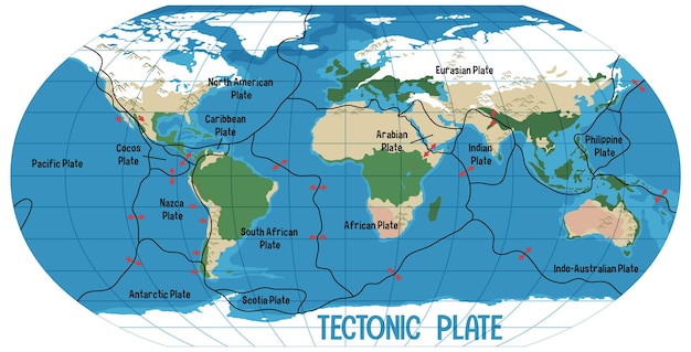 Free vector world map showing tectonic plates boundaries