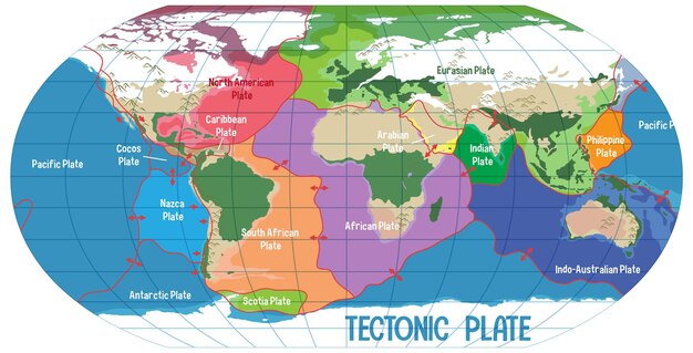 Карта мира с указанием границ тектонических плит