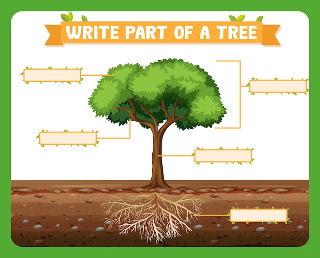 Бесплатное векторное изображение Напишите части рабочего листа дерева для детей