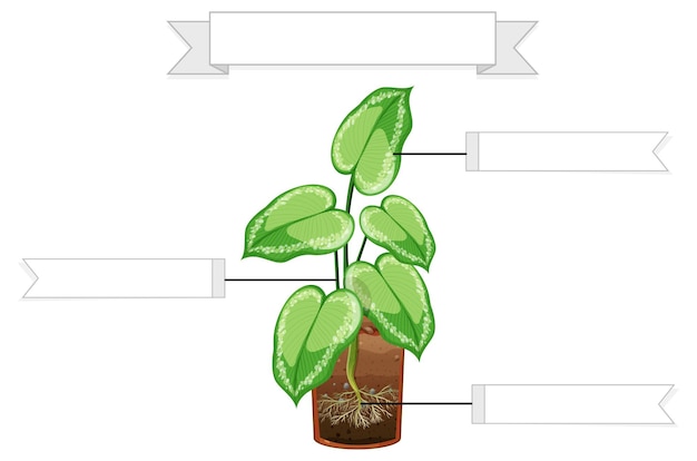 Write parts of a plant worksheet for kids