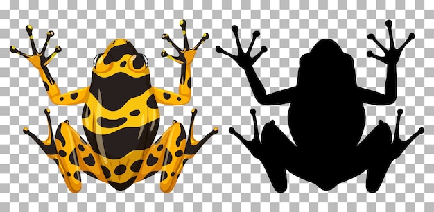 Yellow banaded frog with its silhouette isolated on white