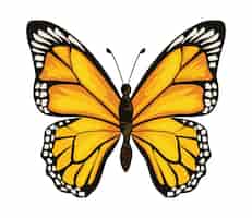 Vettore gratuito icona di insetto farfalla gialla bellezza