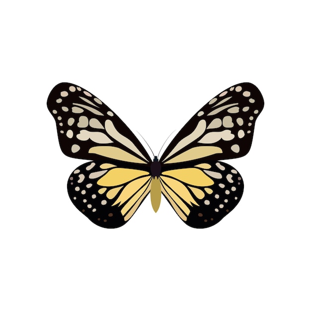 Free vector yellow butterfly of colorful icon top view art butterflies isolated on white vector illustration