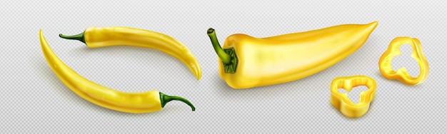 Бесплатное векторное изображение Желтый перец чили или острое пряное растение халапеньо