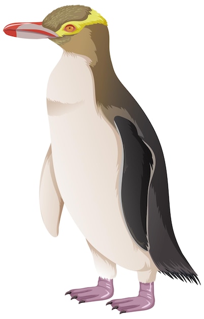 Free vector yellow eyed penguin on white background