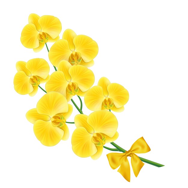 Желтый цветок дизайн