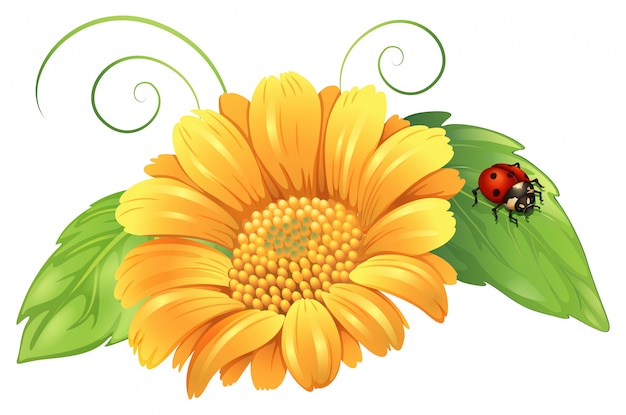 Free vector a yellow flower with leaves and a bug