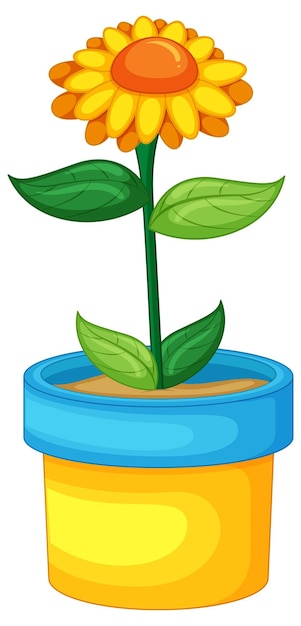 Free vector yellow flowers in a pot in cartoon style