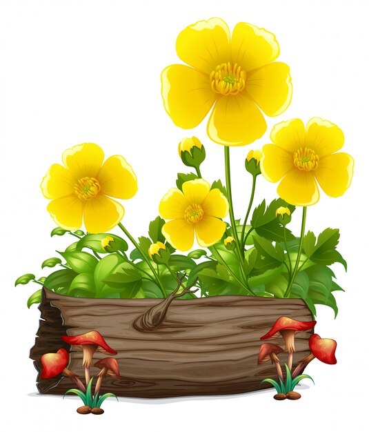 Yellow flowers and wooden log 