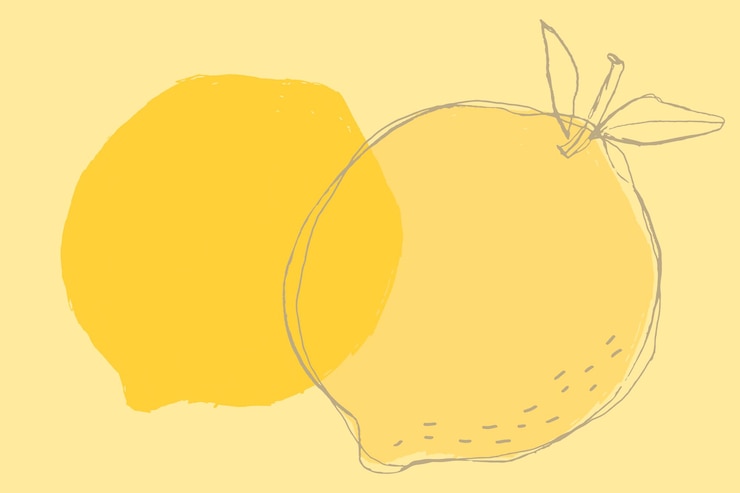 Free Vector yellow lemon cute fruit vector copy space