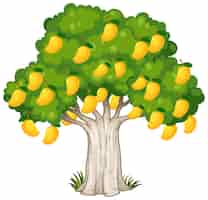 Vettore gratuito albero di mango giallo isolato su sfondo bianco