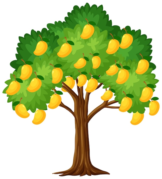 Free vector yellow mango tree isolated on white background