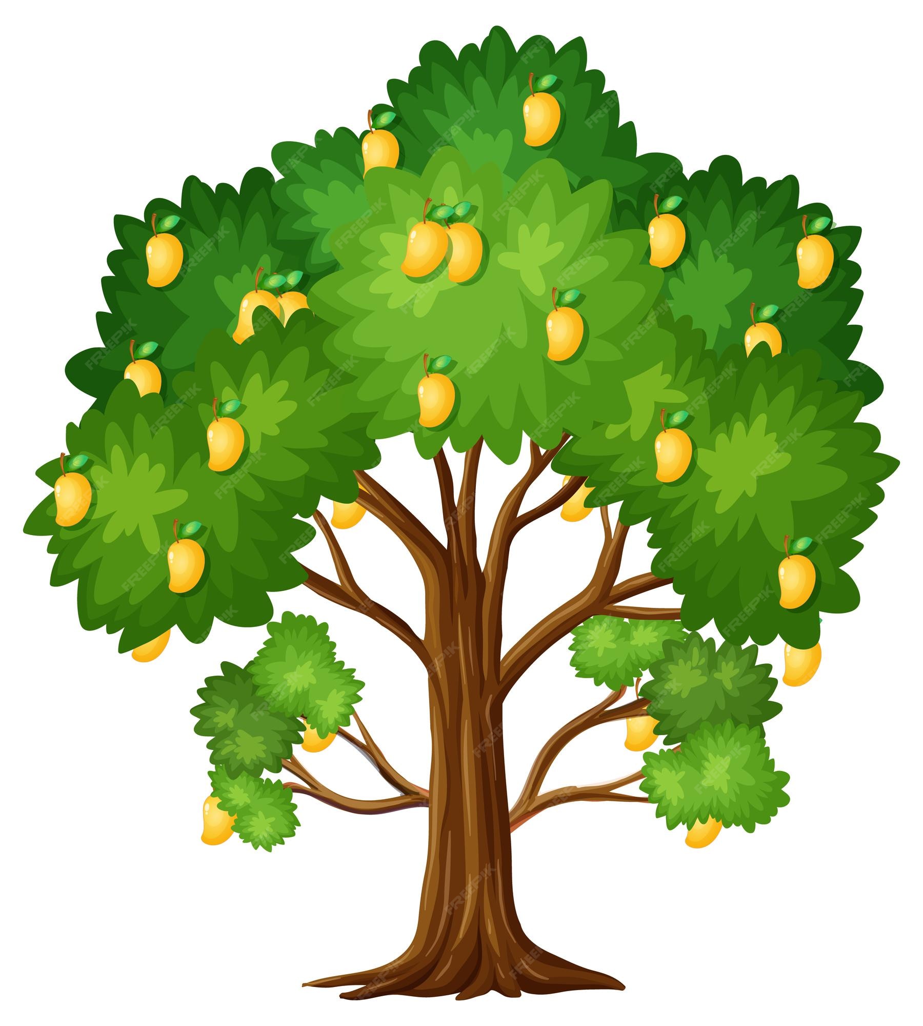 Free Vector | Yellow mango tree isolated on white background Free Vector | Yellow mango tree isolated on white background