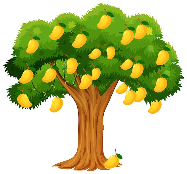 Vettore gratuito albero di mango giallo isolato su bianco