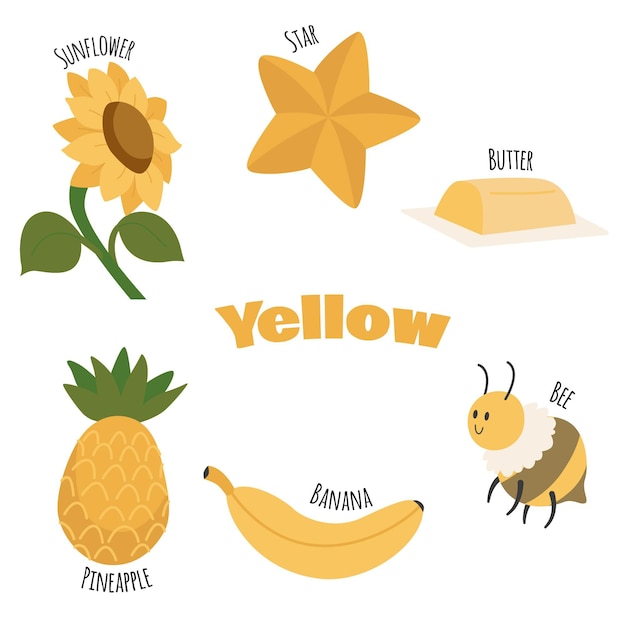 Free vector yellow objects and vocabulary words collection