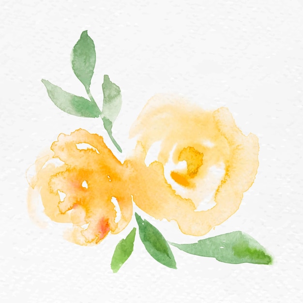 Желтая роза цветок акварель вектор весна сезонная графика