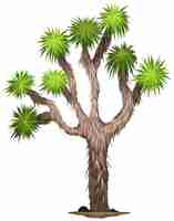 Free vector the yucca brevifolia tree