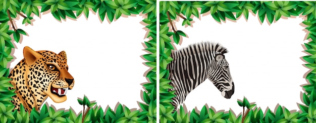 Бесплатное векторное изображение Зебра и леопард на природе кадр