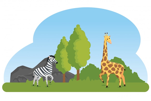 Zebra and giraffe wild animals reserve