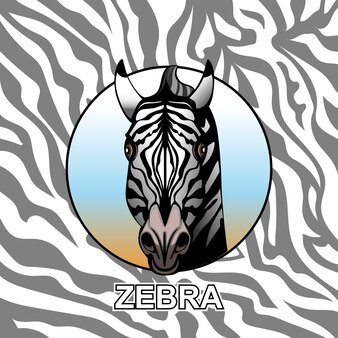 Zebra head on body texture background.