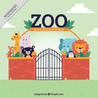zoo vectors photos and psd files free download