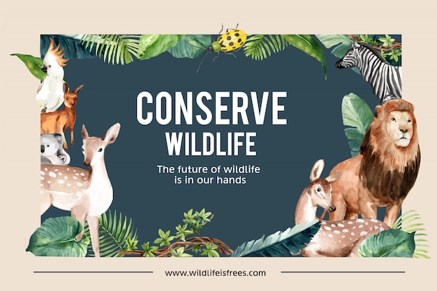 免费矢量动物园框架设计与狮子、鹿、袋鼠、考拉水彩插图。