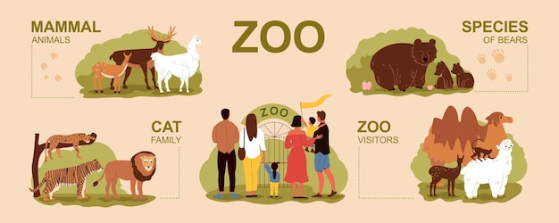 Vettore gratuito set di infografica zoo con illustrazione vettoriale piatta della famiglia del gatto e dei visitatori