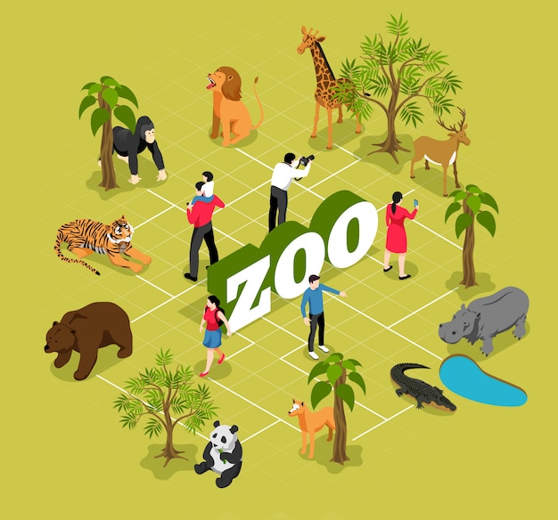 Zoo isometric flowchart with animals near trees and pool and visitors on olive