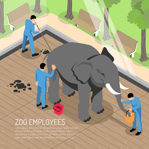 動物園の労働者は、象に餌をやったり、洗ったり、等尺性の家を掃除したりする際に、専門的な道具を使って