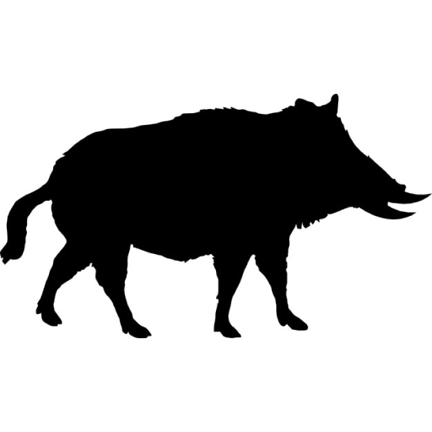 Wildschwein form