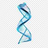 Kostenlose PSD 3d blaues dna-helix-sequenzelement isoliert auf transparentem hintergrund